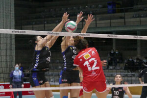 Avarca de Menorca- Alcobendas