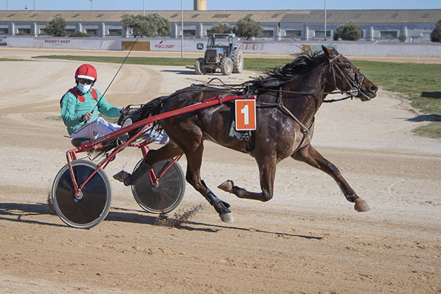 Carreras Mô 30-1-22