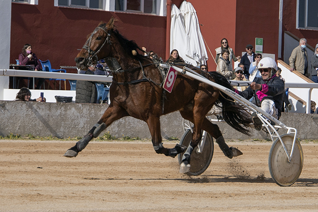 Carreras Trot Mô 13-2-22