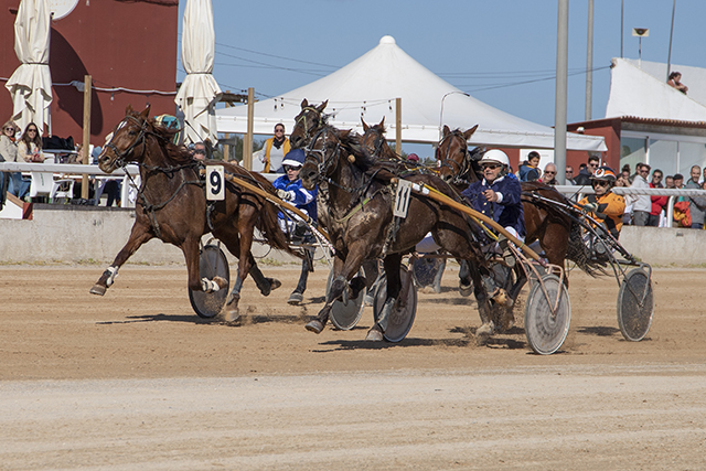Carreras Trot Mô- Últimos metros de la primera carrera con Drac Magic y Elliemay 20-2-22-3