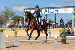 Concurso de doma clásica
