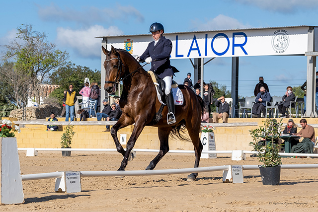 Concurso de doma clásica