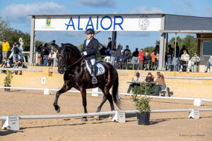 Concurso de doma clásica