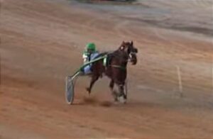 Espiga des Llorer - hipódromo Sant Rafel de Ibiza