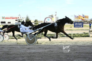Illa de Flor-hipódromo Manacor