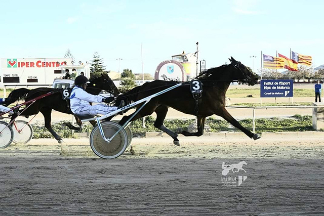 Illa de Flor-hipódromo Manacor