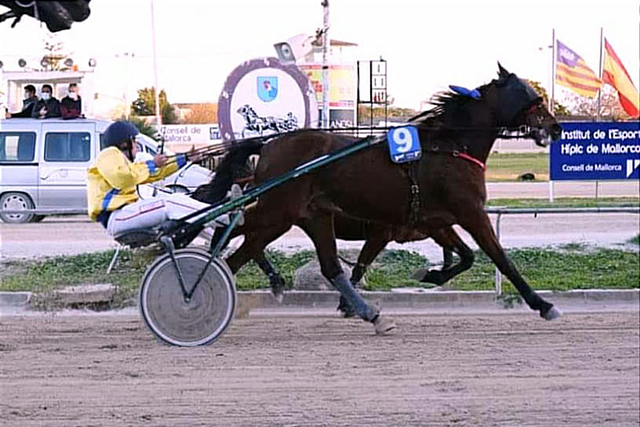 Penya Es Trapassers- Hípica
