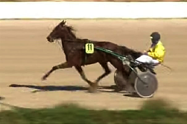 Penya Es Trapassers- Hípica