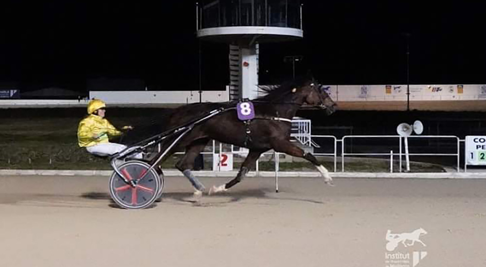 Trot menorquí a Son Pardo