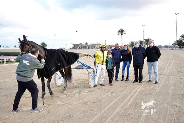 Trot menorquí a Son Pardo