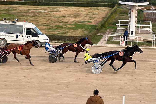 Trot menorquí a Son Pardo