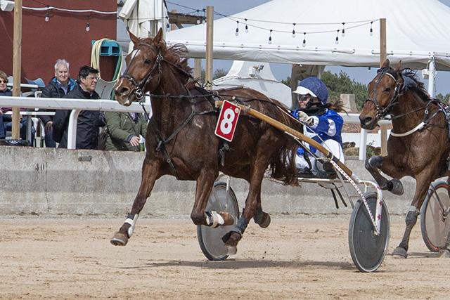 Carreras Trot Mô 20-3-22