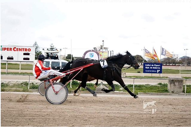 Irina Llinaritx consigue la victoria en el hipódromo de Manacor