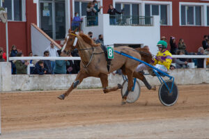 Trot Mô 6-3-22 Día de ses Illes Balears