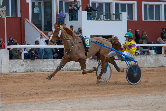 Trot Mô 6-3-22 Día de ses Illes Balears