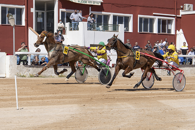 Carreras Trot Mô 10-4-22