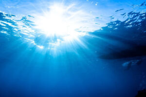 Secció d'escafandrisme del Club Nàutic Ciutadella-visita el Malakoff