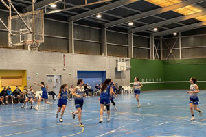 Torneo de Es Castell Basquet is Life