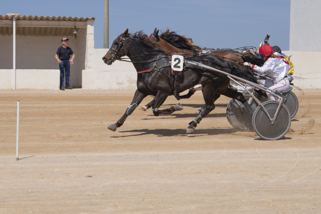 Carreras Trot Mô 15-5-22-8-Últimos metros en la especial de alevines