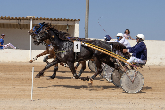 Carreras Trot Mô 8-5-22