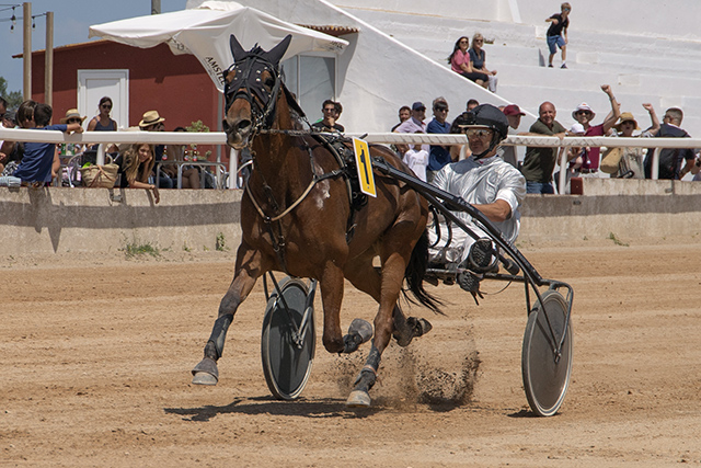 Carreras Trot Mô 29-5-22-7