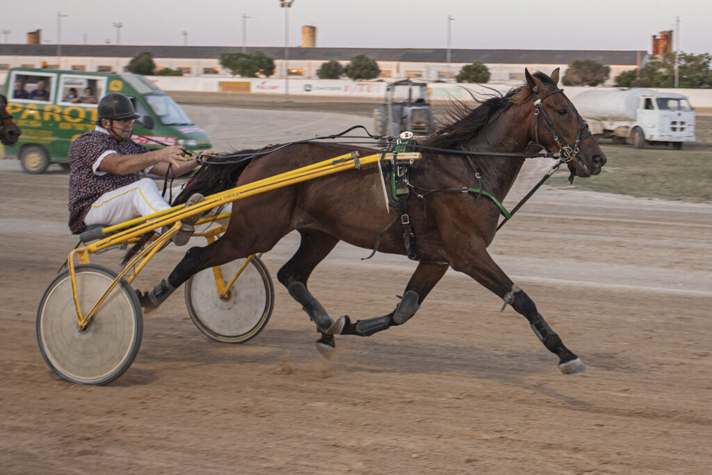 Carreras Trot Mô 1-7-22-2