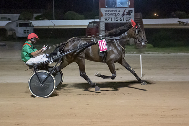 Carreras Trot Mô 15-7-22-13