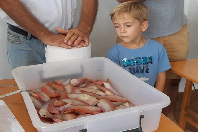 Campeonato de pesca de raors del CN Ciutadella