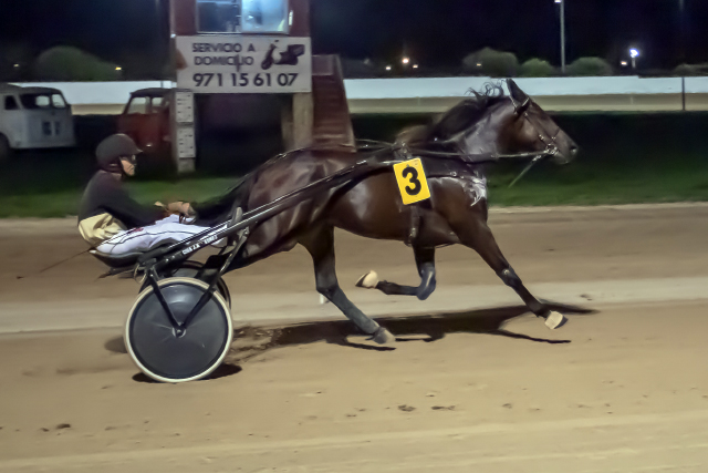 Carreras Trot Mô 9-9-22-7