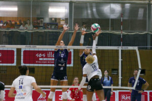 Avarca de Menorca-Heidelberg