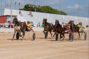 Carreras Trot Mô 16-10-22