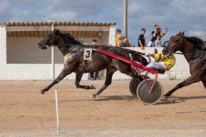 Carreras Trot Mô 16-10-22