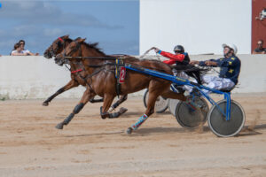 Carreras Trot Mô 16-10-22