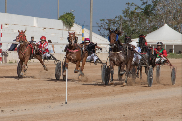 Carreras Trot Mô 23-10-22