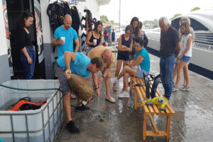 Netetja Port Ciutadella-Es Nàutic