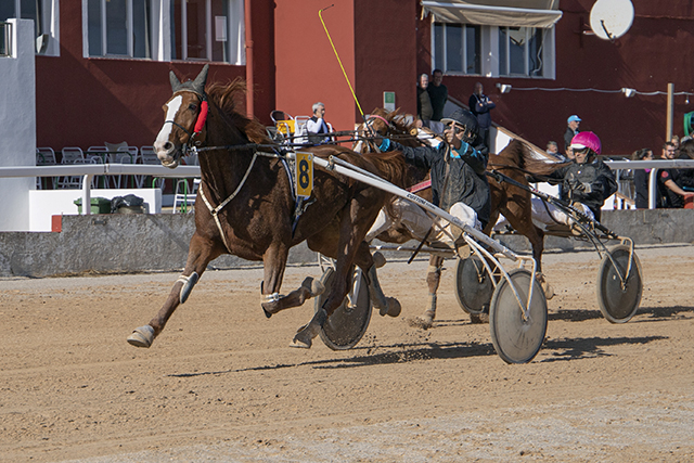 Carreras Trot Mô 20-11-22-12