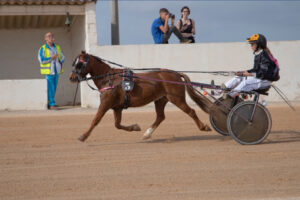Carreras Trot Mô 30-10-22