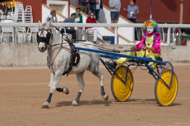 Carreras Trot Mô 30-10-22
