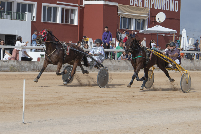 Carreras Trot Mô 30-10-22