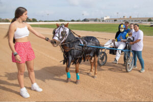 Carreras Trot Mô 30-10-22