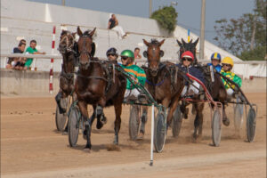 Carreras Trot Mô 30-10-22
