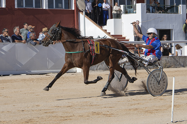 Carreras Trot Mô 6-11-22-10