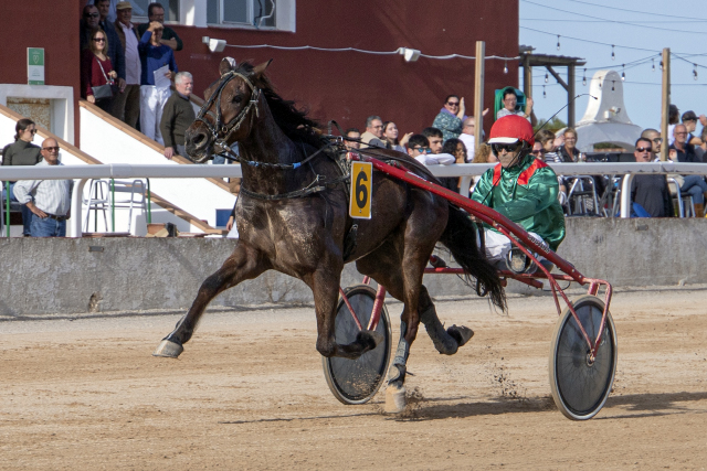 Carreras Trot Mô Jopetas SB con Antonio Roca