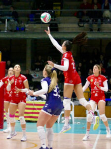 Avarca de Menorca- Tenerife