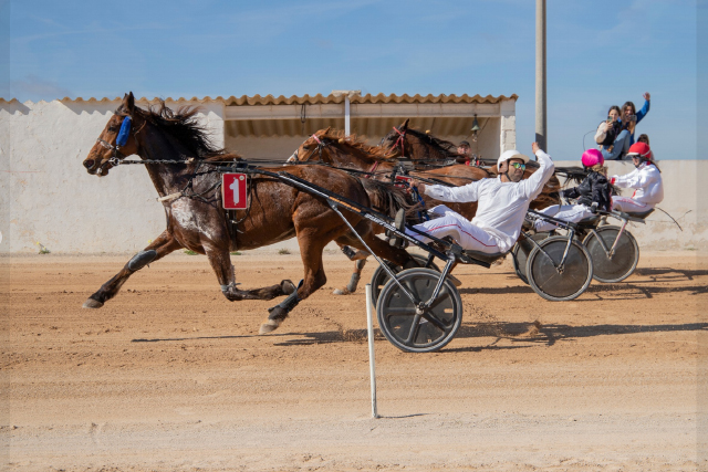 Carreras Trot Mô-19-2-23