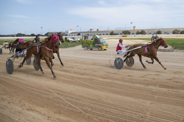 Carreras Trot Mô 19-3-23