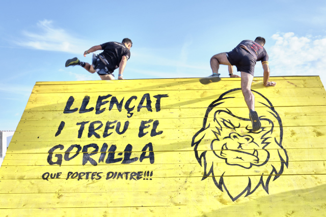 The-Meadower-OCR-Menorca