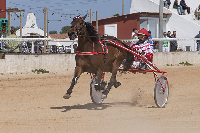 Carreras Trot Mô- 16-4-23