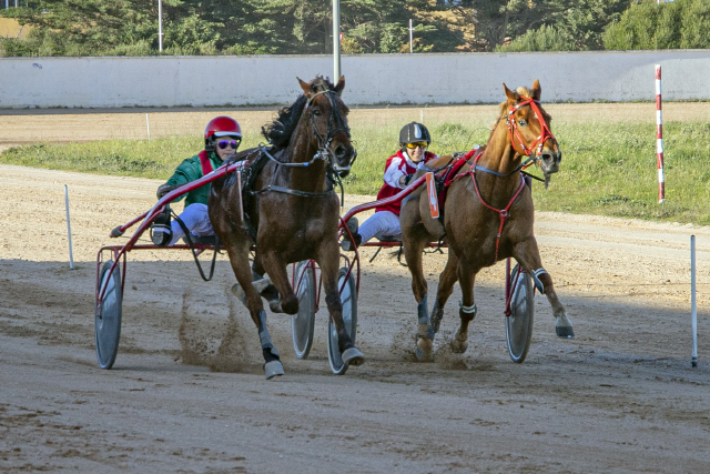 Carreras Trot Mô 2-4-23