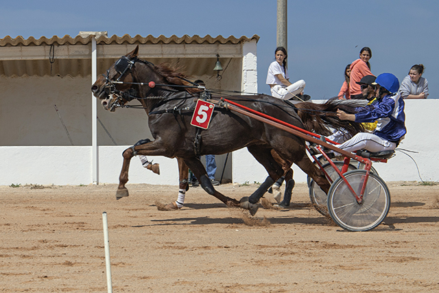 Carreras Trot Mô 23-4-23